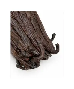 Detail van Comoren vanillestokjes
