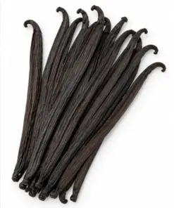 Indonesische vanillestokjes op een witte achtergrond