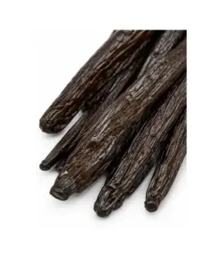 Detail van Madagaskar Gourmet vanillestokjes op witte achtergrond