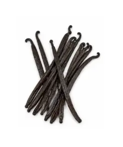 Madagaskar Gourmet vanillestokjes los gerangschikt op witte achtergrond