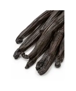 Detail van Madagaskar Grand Cru vanillestokjes op witte achtergrond